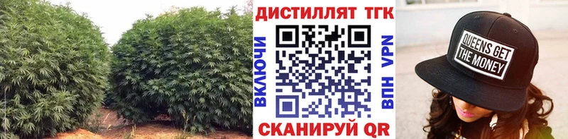Дистиллят ТГК концентрат  где найти наркотики  hydra маркетплейс  Пущино 