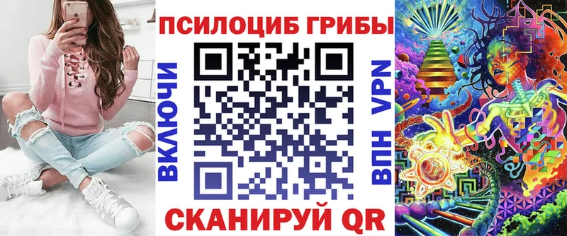 купить   Пущино  Псилоцибиновые грибы GOLDEN TEACHER 